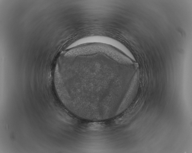 X0000112420320200909111015