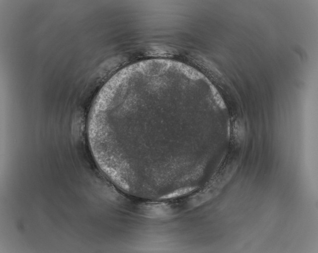 X0000112420322200909111015