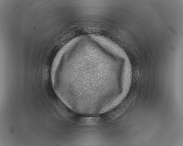 X0000112420323200909111015