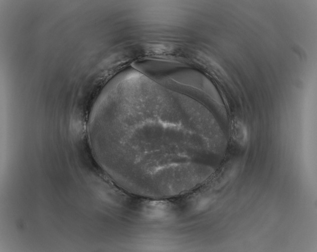 X0000112420324200909111015