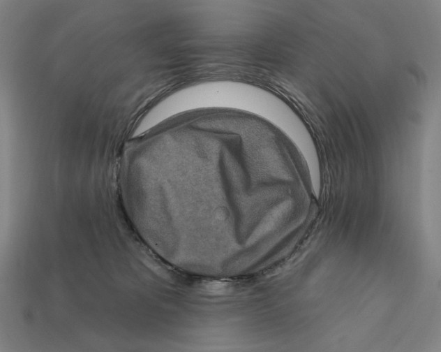 X0000112420325200909111015