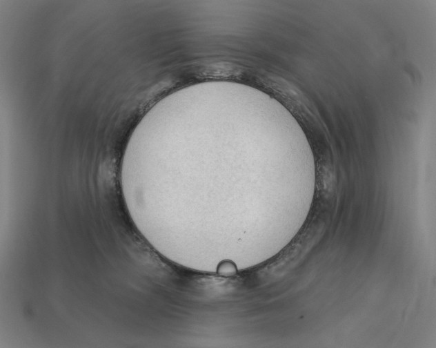 X0000112420326200909111015