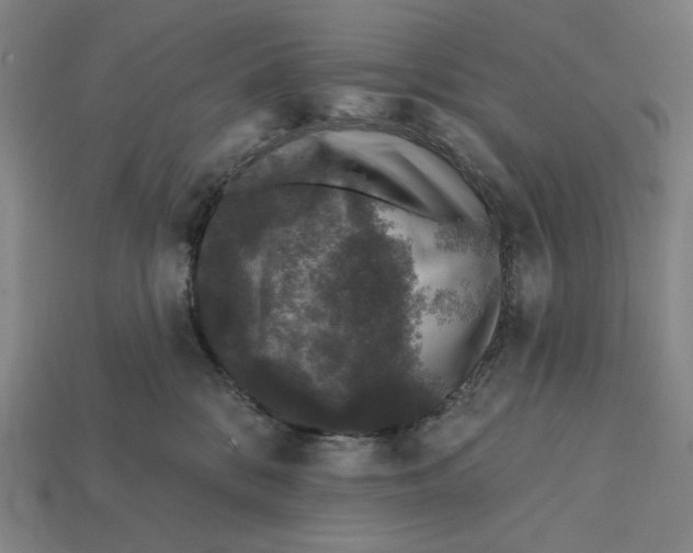 X0000112420328200909111015