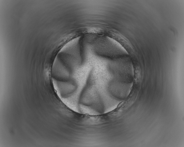 X0000112420329200909111015