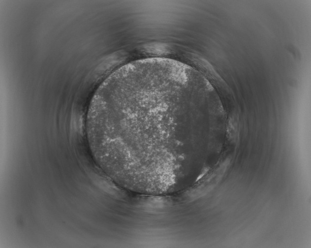 X0000112420330200909111015