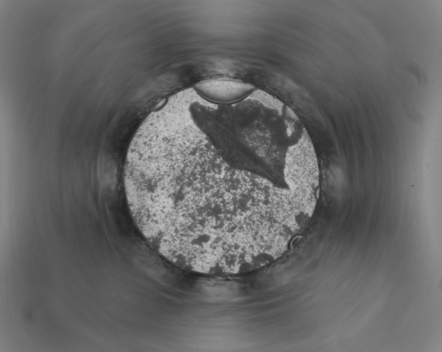 X0000112420331200909111015