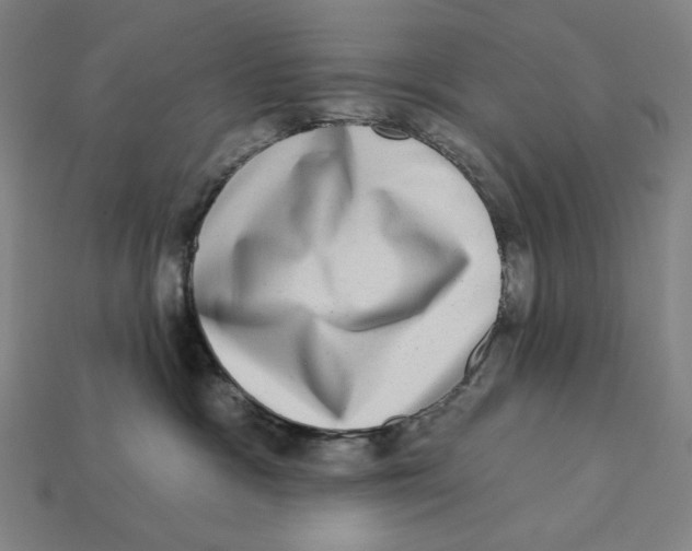 X0000112420333200909111015