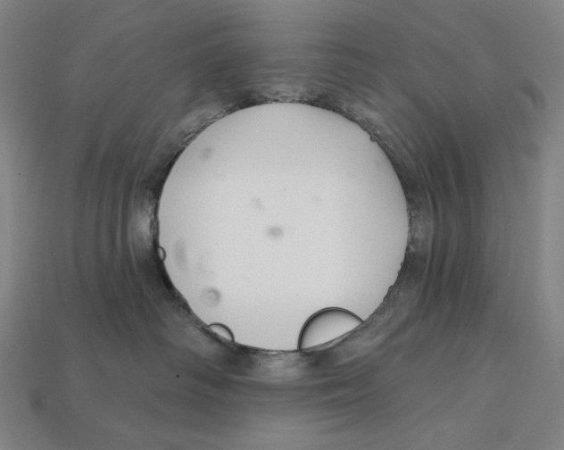 X0000112420334200909111015