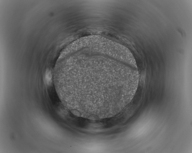 X0000112420335200909111015