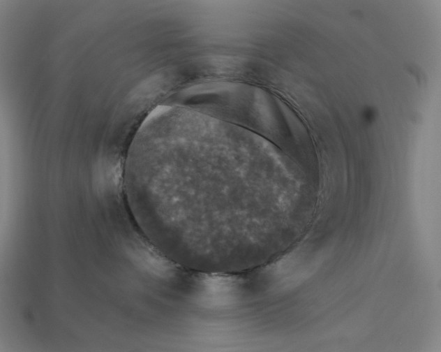 X0000112420336200909111015