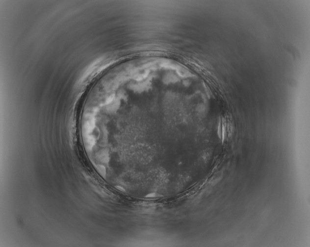 X0000112420339200909111014