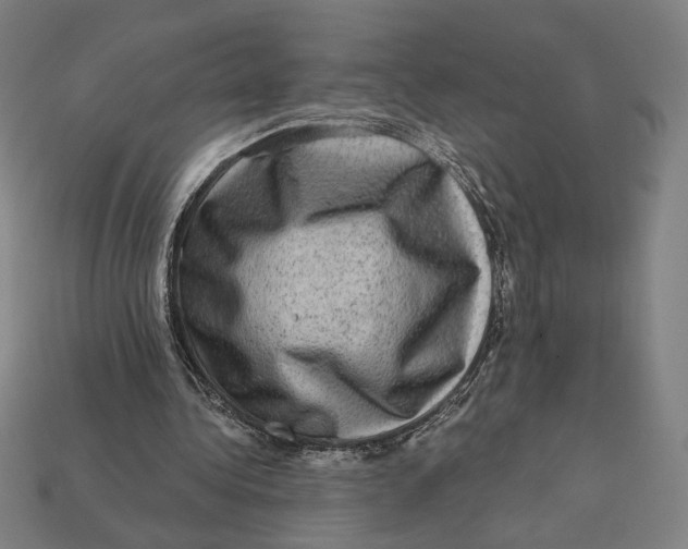 X0000112420340200909111014