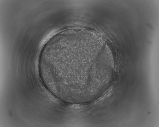 X0000112420341200909111014