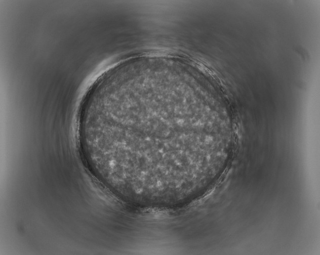 X0000112420343200909111014