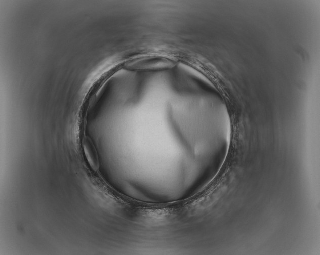 X0000112420344200909111014