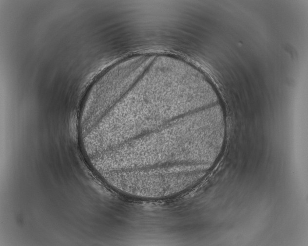 X0000112420345200909111014