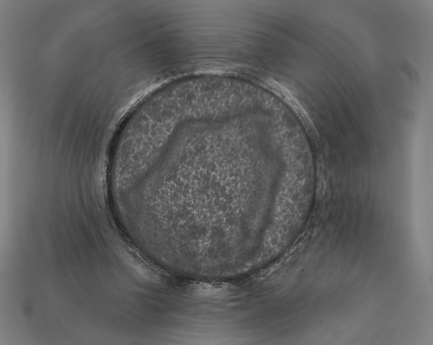 X0000112420346200909111014