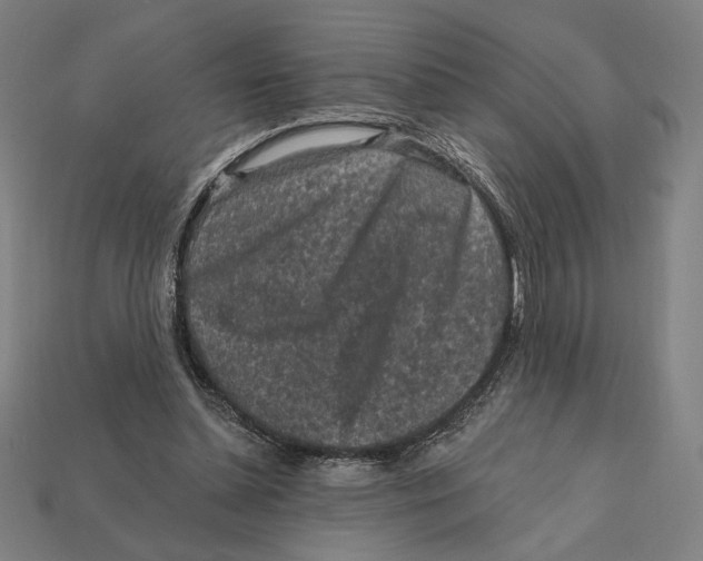 X0000112420348200909111014