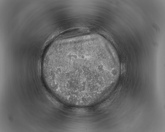 X0000112420349200909111014