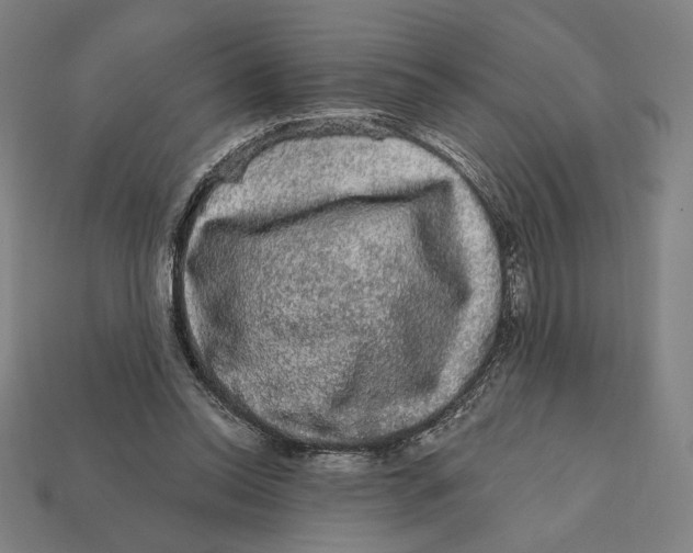 X0000112420350200909111014