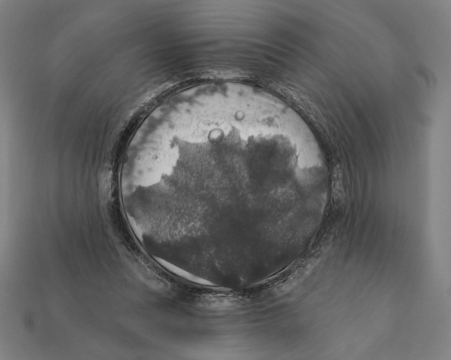 X0000112420351200909111014