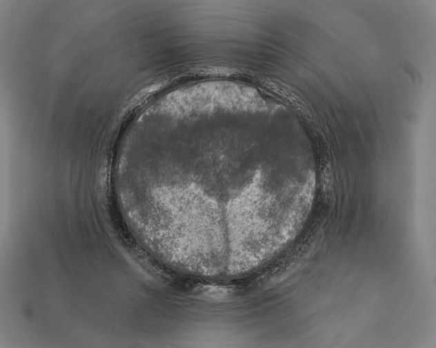 X0000112420352200909111015