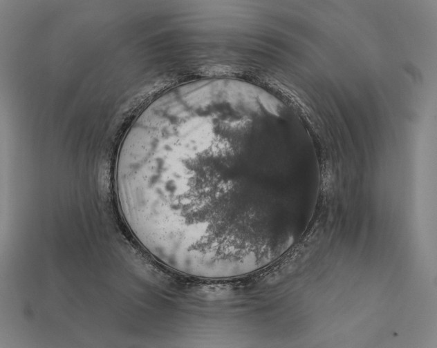 X0000112420353200909111015