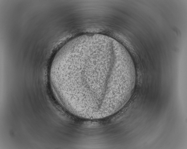 X0000112420354200909111015