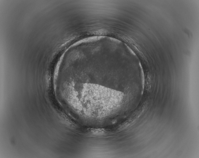 X0000112420355200909111015