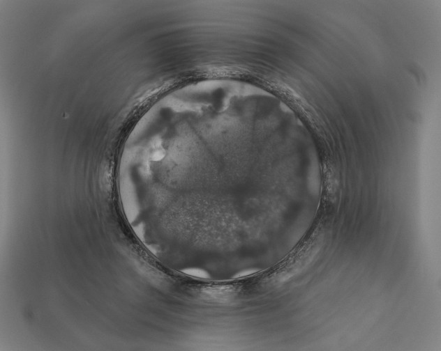 X0000112420357200909111015