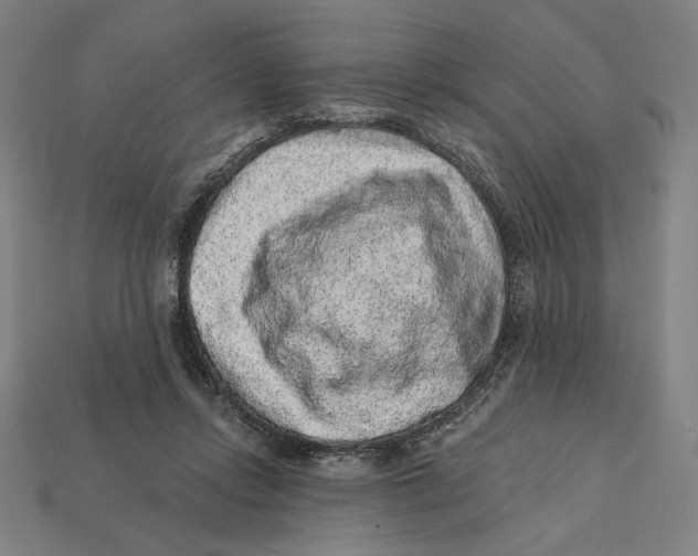 X0000112420358200909111015