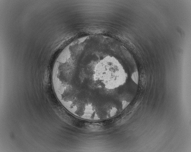 X0000112420359200909111015