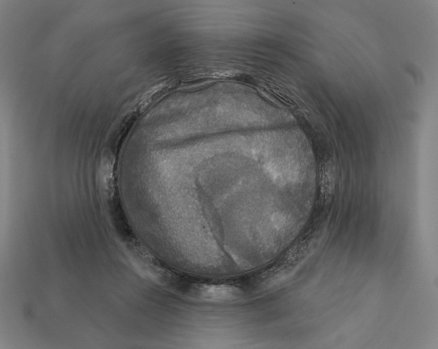 X0000112420360200909111015