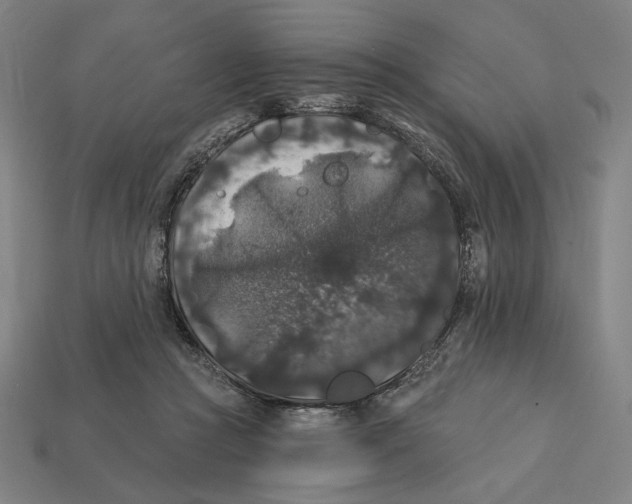 X0000112420361200909111015