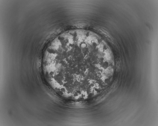 X0000112420365200909111015