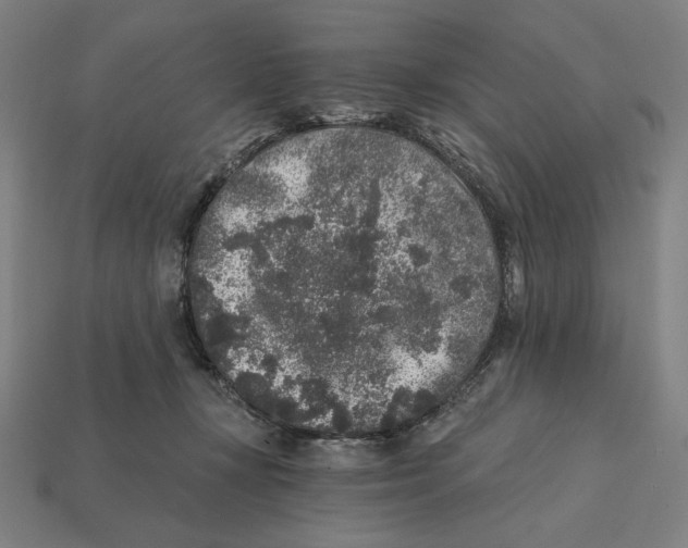 X0000112420367200909111015