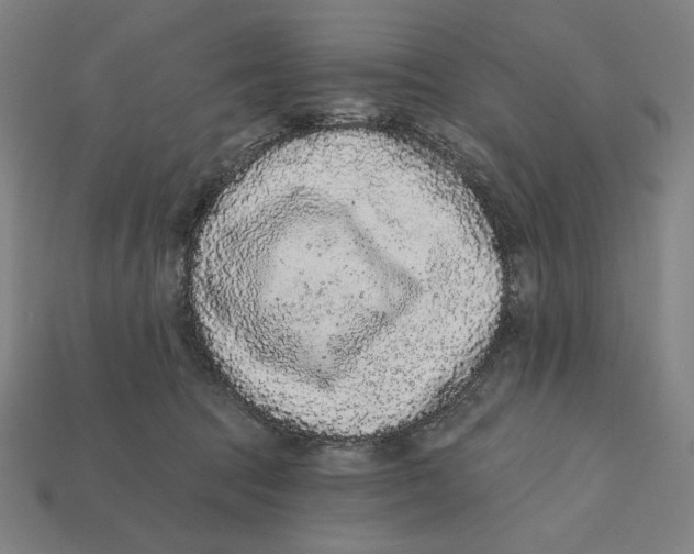 X0000112420369200909111015