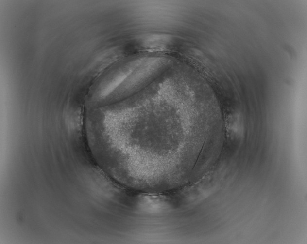 X0000112420372200909111015