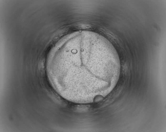 X0000112420373200909111015