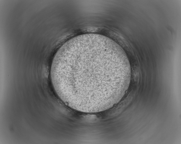 X0000112420374200909111015