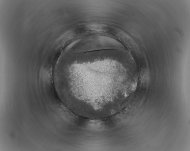 X0000112420376200909111015