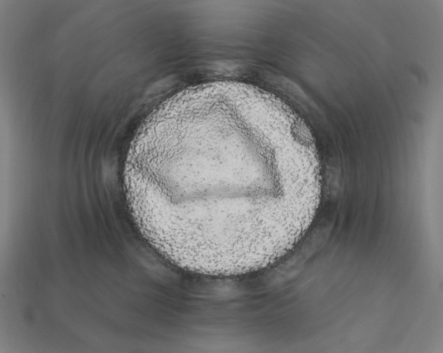 X0000112420377200909111015