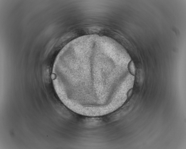 X0000112420378200909111015