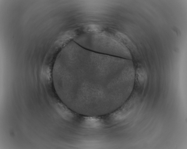 X0000112420380200909111015