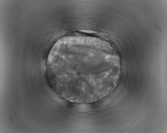 X0000112420383200909111015