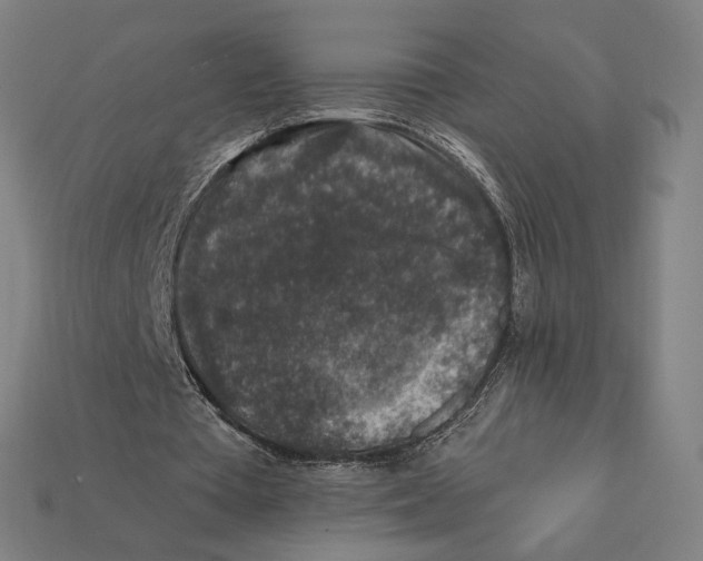 X0000112420385200909111014