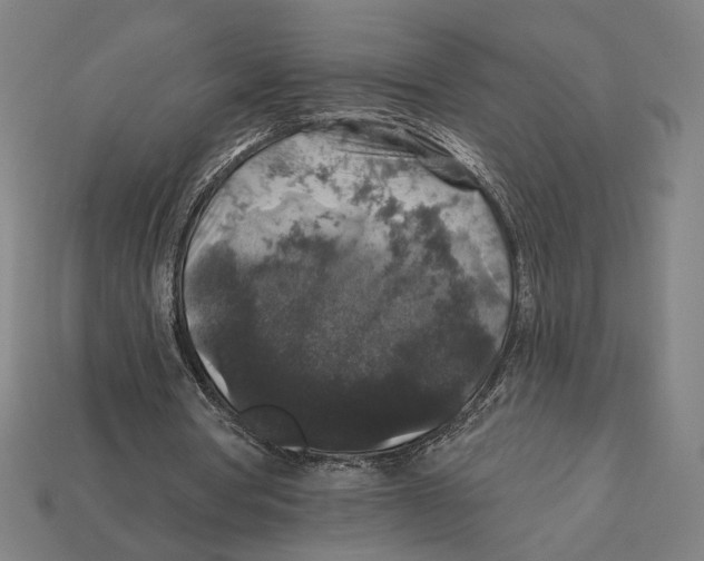 X0000112420386200909111014