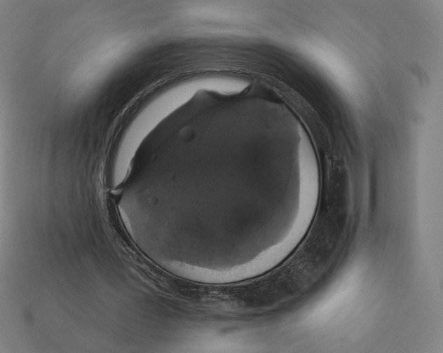 X0000112420387200909111014