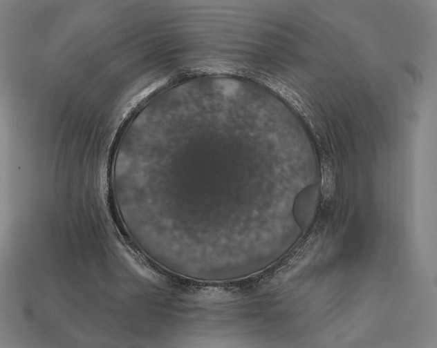 X0000112420390200909111014