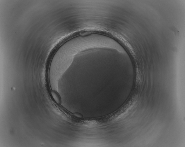 X0000112420391200909111014